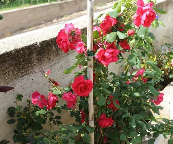 Appartement Odak Brodarica (Sibenik-Knin)